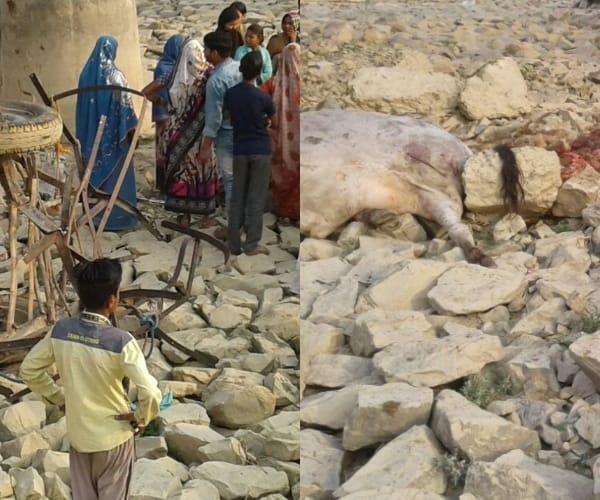 A farmer died in an accident in Lucknow.