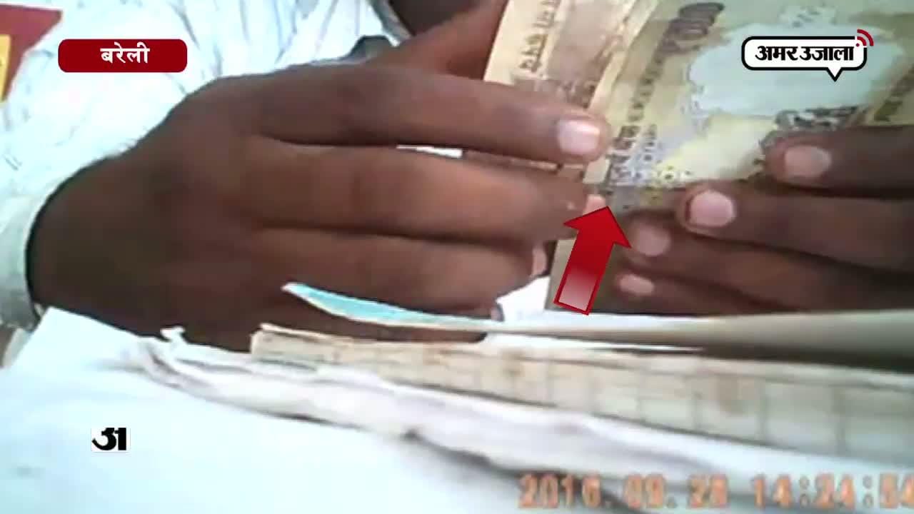 बरेली