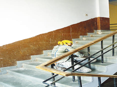 'Peak' missing from dyeing-paintings in Vikas Bhavan