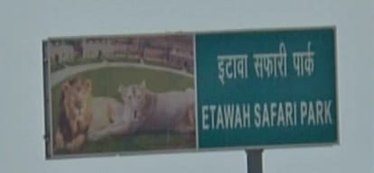 Congress MP Adhir Ranjan Chowdhury raises question of UP ZOO in lok sabha