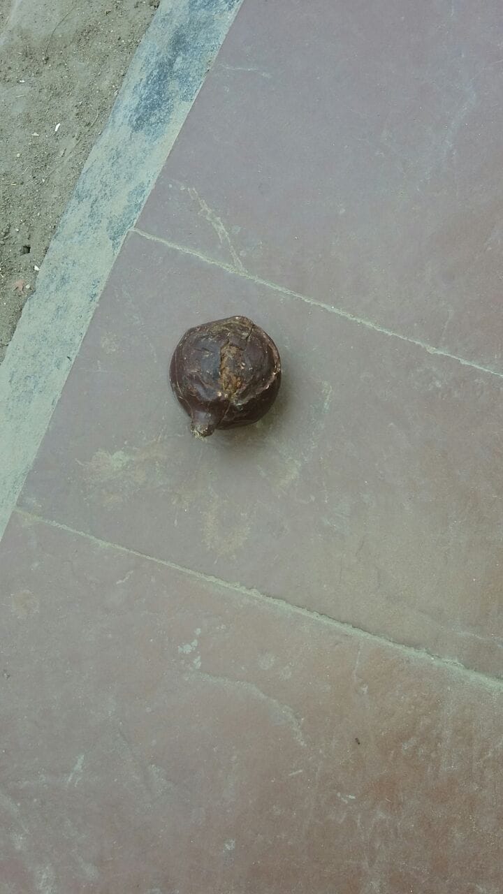 Hand grenade thrown at petrol pump in Chandauli, panic