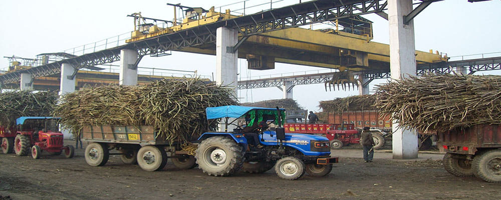 383 million left over sugar mills