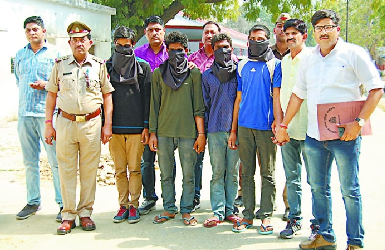 Chain snatcher and vehicle robbers