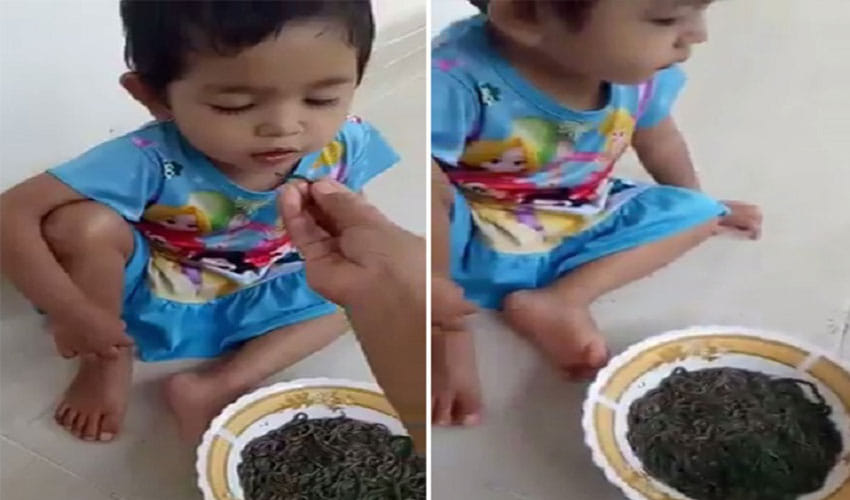 baby feed alive earthworms by mother