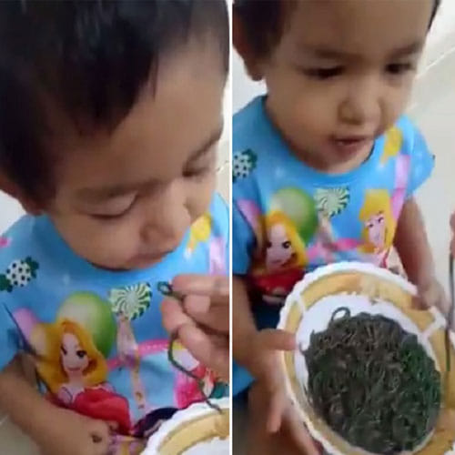 baby feed alive earthworms by mother