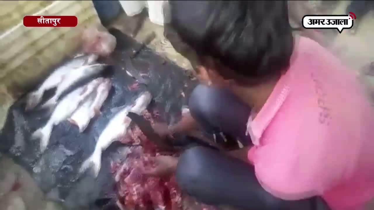 सीतापुर, मीट की दुकान, लखनऊ, योगी सरकार 