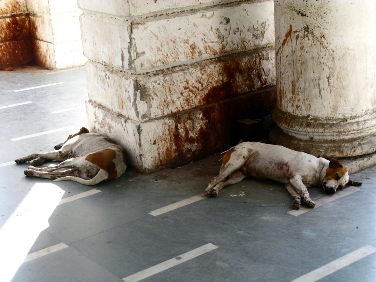 Uttrakhand Government To Levy Hefty Fine For Littering and Spitting