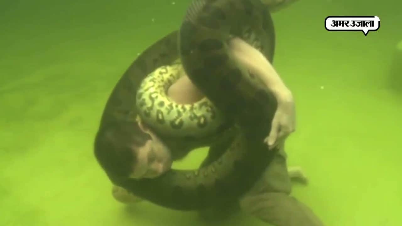 वायरल वीडियो