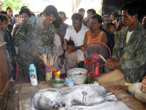 Buffalo Gives Birth To Human-Like Baby In Thailand, 