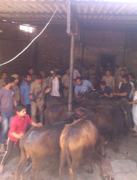Police raided the information of Mini Slaughterhouses, police stunned after reaching there