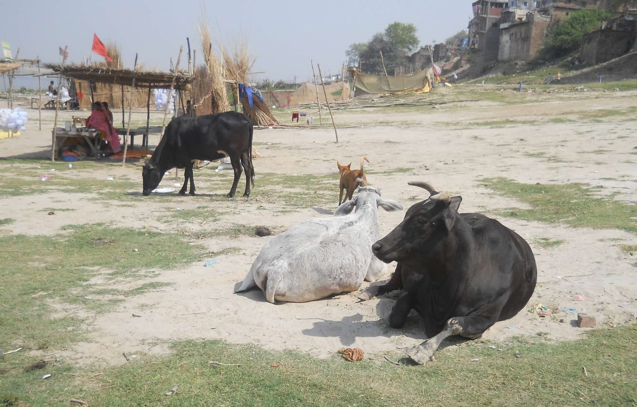 Days in the fair, four preparations are half-incomplete