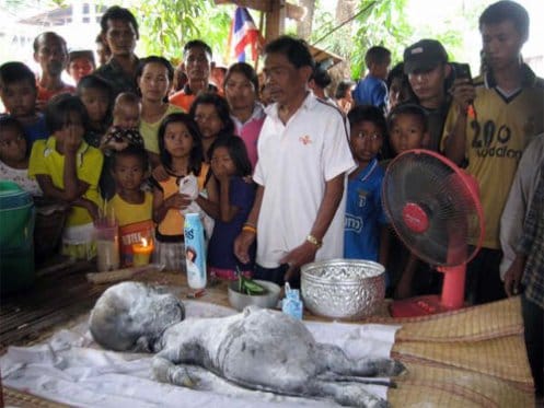 Buffalo Gives Birth To Human-Like Baby In Thailand, 