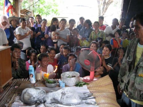 Buffalo Gives Birth To Human-Like Baby In Thailand, 