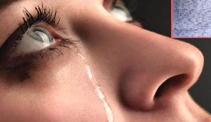 suicide in a love affair 