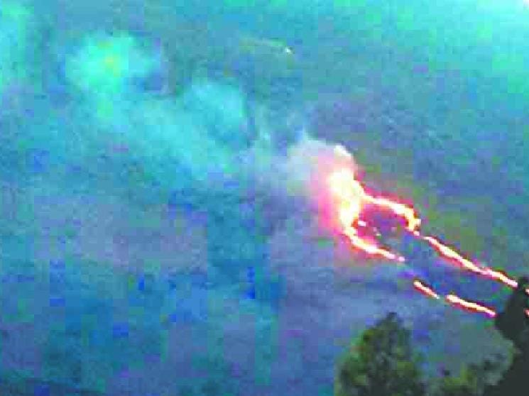 The loss of forest fire