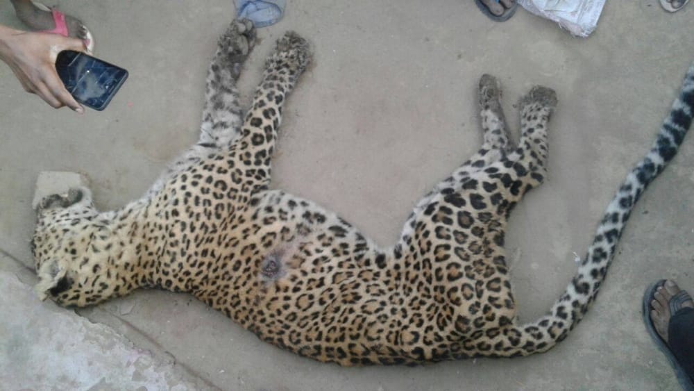 guldar attack on two villager