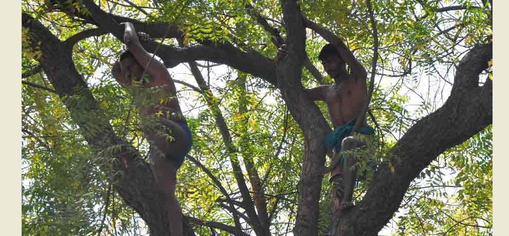 farmers from tamilnadu trying to commit suicide at jantar mantar delhi