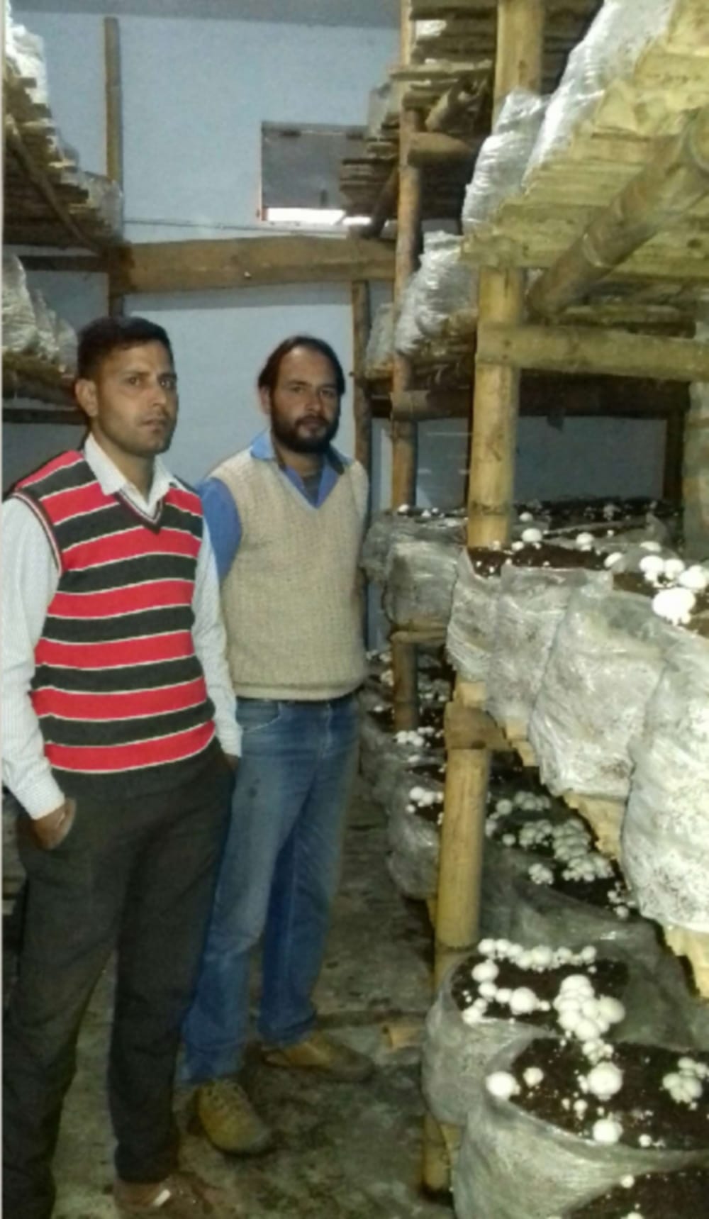 Special training for farming mushrooms