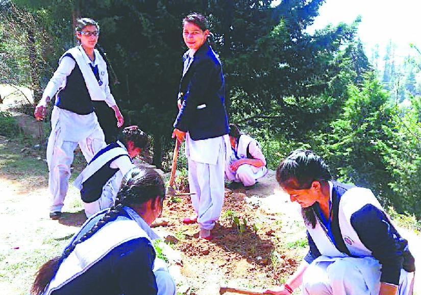 Cleaning the Lohawati river