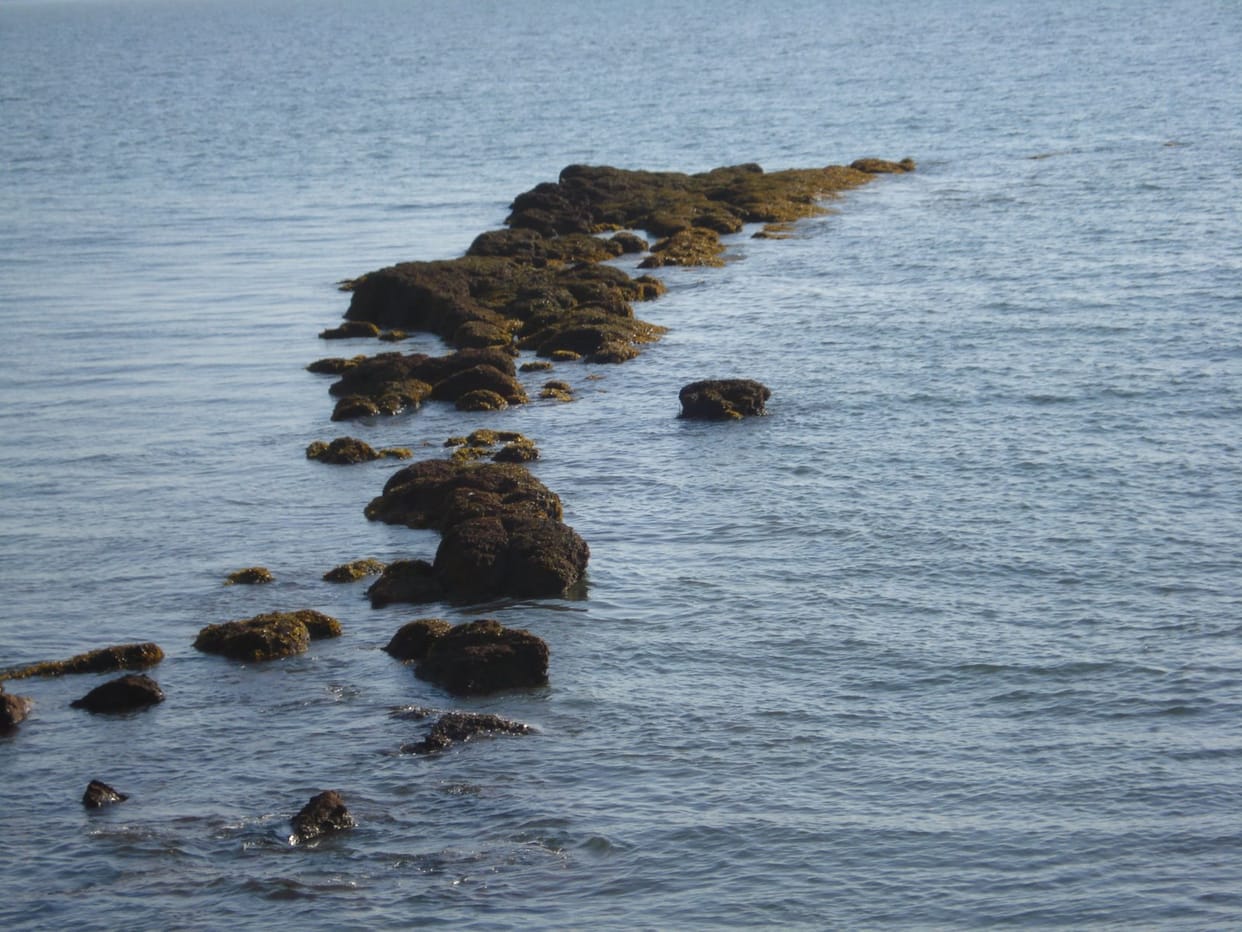  ICHR will tell, Rama Setu is man-made or natural
