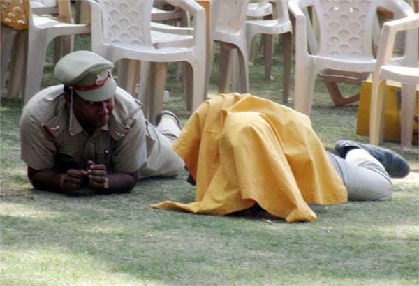 bees attack on baba ramdev friend acharya balkrishna and team members at herbal park morni