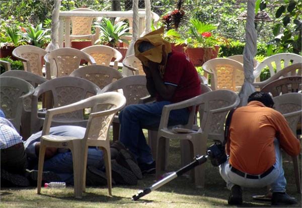 bees attack on baba ramdev friend acharya balkrishna and team members at herbal park morni