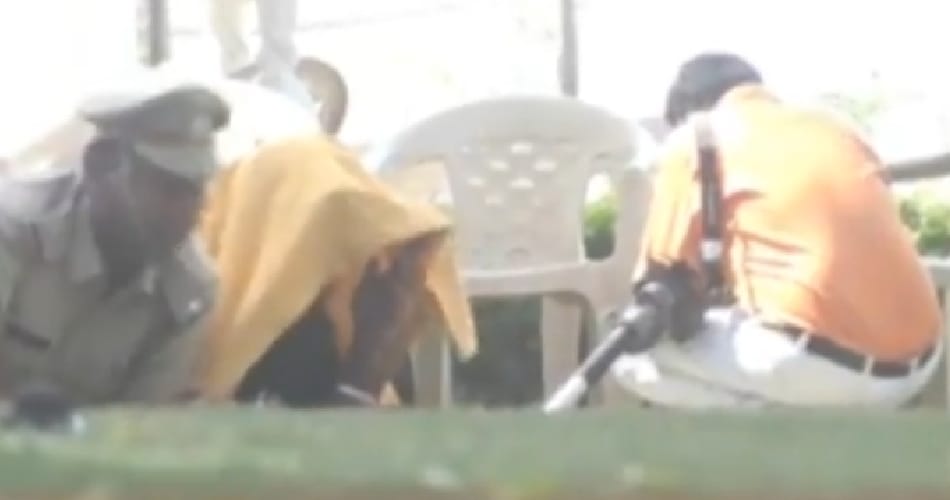 bees attack on baba ramdev friend acharya balkrishna and team members at herbal park morni