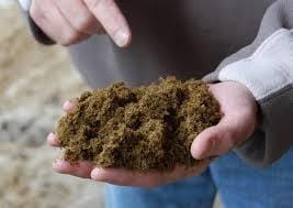 Municipal corporation will create dung bank in city