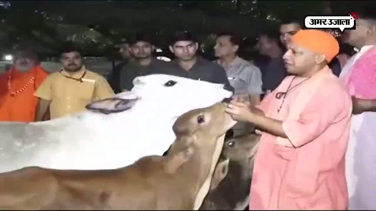 मेरठ 