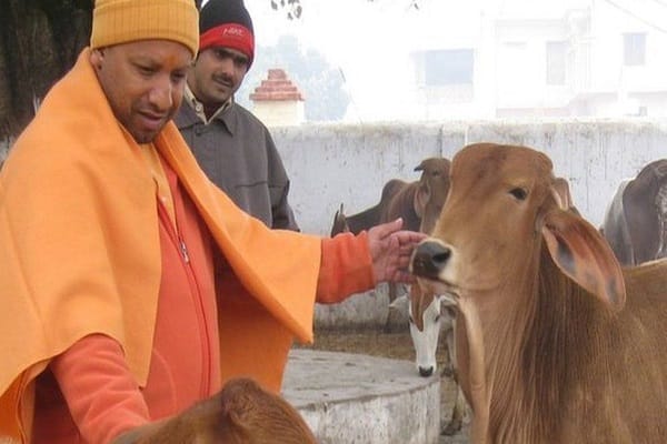 How hard are the yogis in Navratri ? what will you do after becoming a CM, worship of Mother Shakti