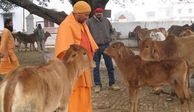 How hard are the yogis in Navratri ? what will you do after becoming a CM, worship of Mother Shakti