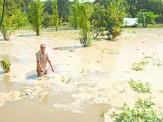 Due to the breakdown of Rajwahi tracks, crops are submerged