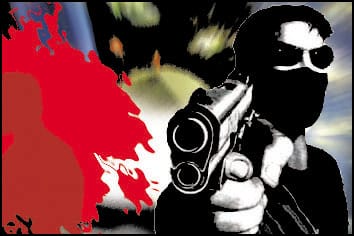 Animal thieves kill the villager in the royal