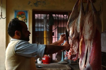Will UP's lions eat grass after chicken?