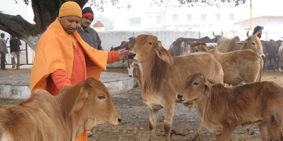 CM Yogi Adityanath order neutralizes, slaughterhouse running at Varanasi night