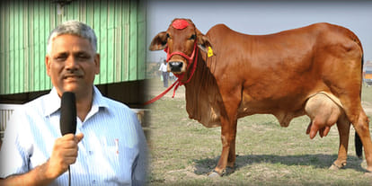 up cm yogi adityanath's first choice is sahiwal and geer breed cow
