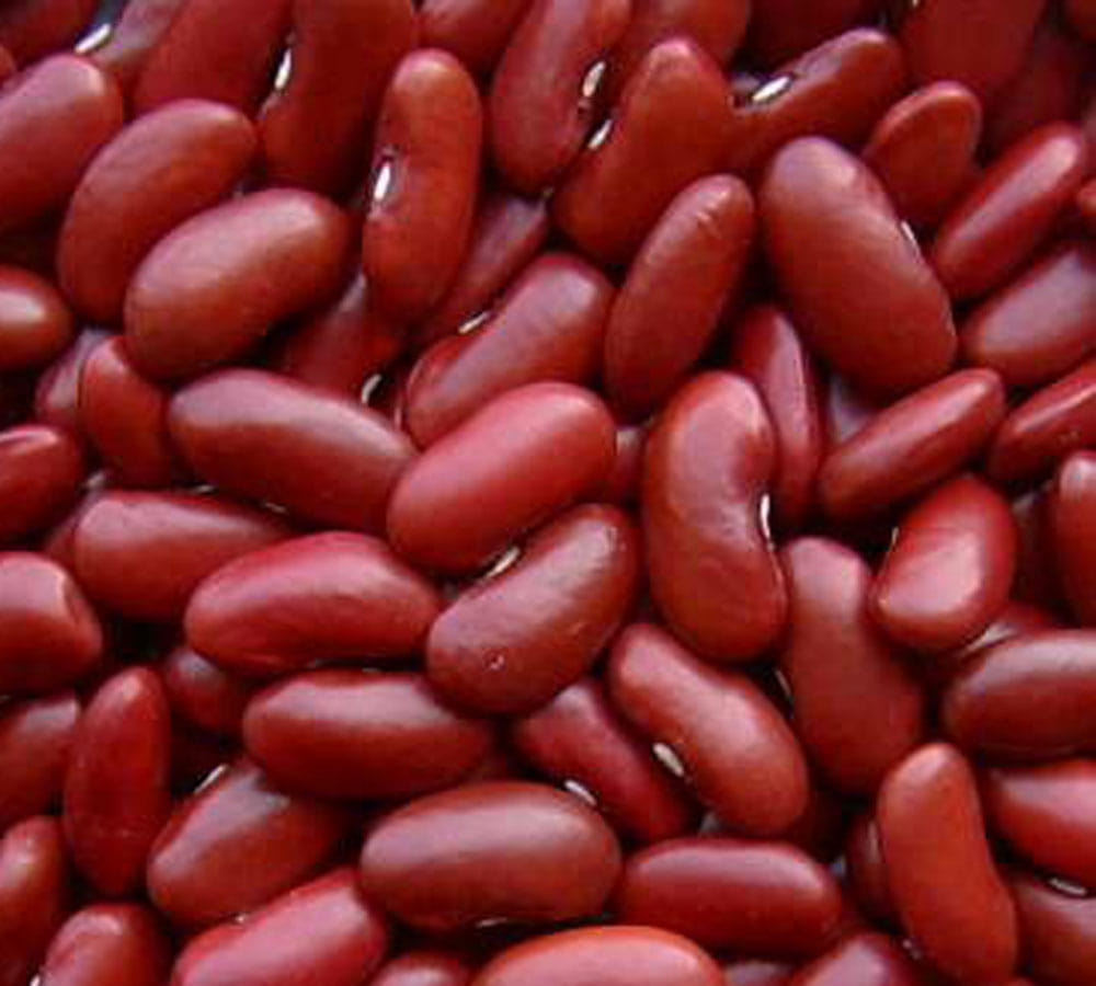 these vegetable things are more healthy in comparison to nonveg