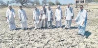 jind,  pond, no water, village, harayana