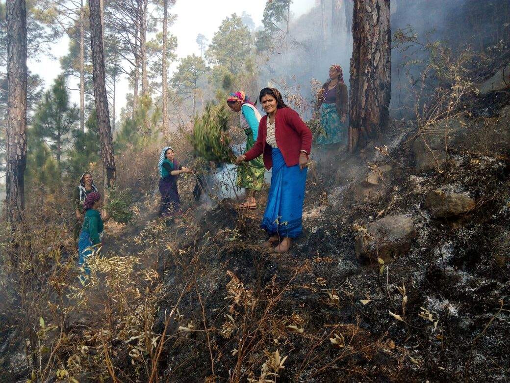 The women quenched the forest fire.
