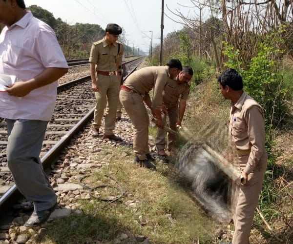  animals died in a train accident in kakori in Lucknow.