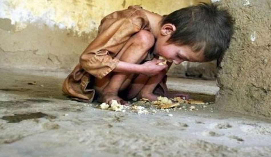 officials will be responsible for death due to hunger