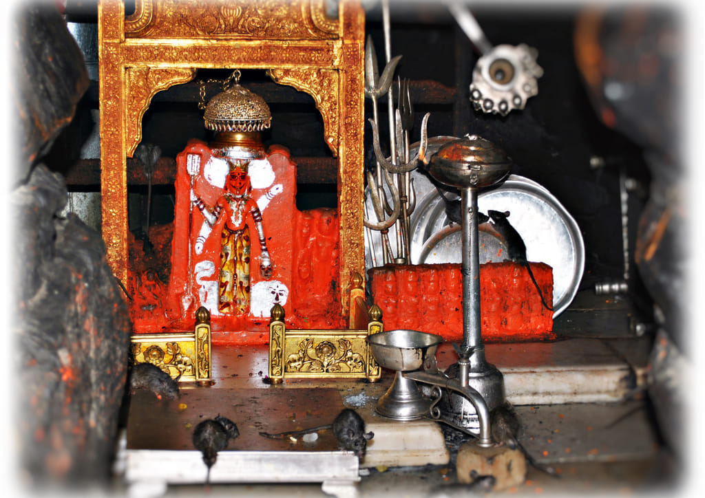 famous devi temple in rajasthan 
