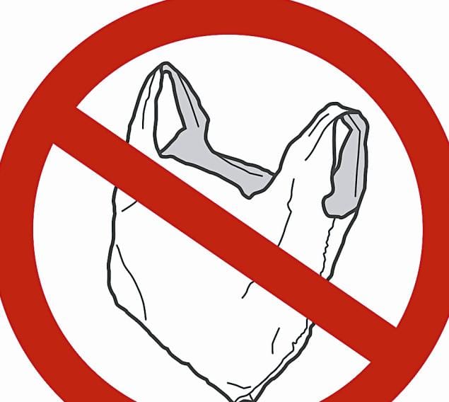 Kailash Mansarovar Yatra will walk free from polythene