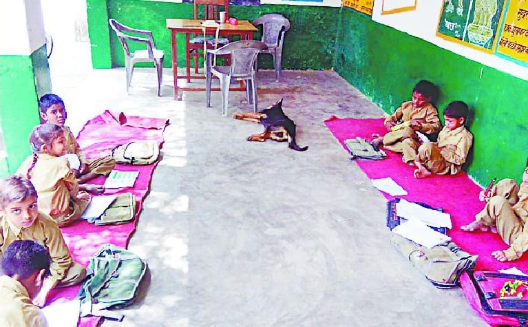 Guruji come