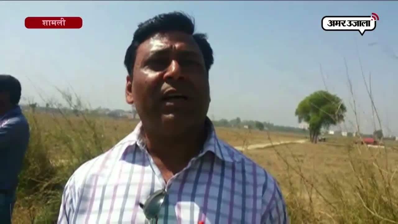 शामली, बूचड़खाने, अवैध मीट की दुकानें 