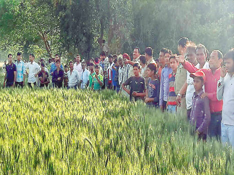 Two villagers injured by wild animal attack