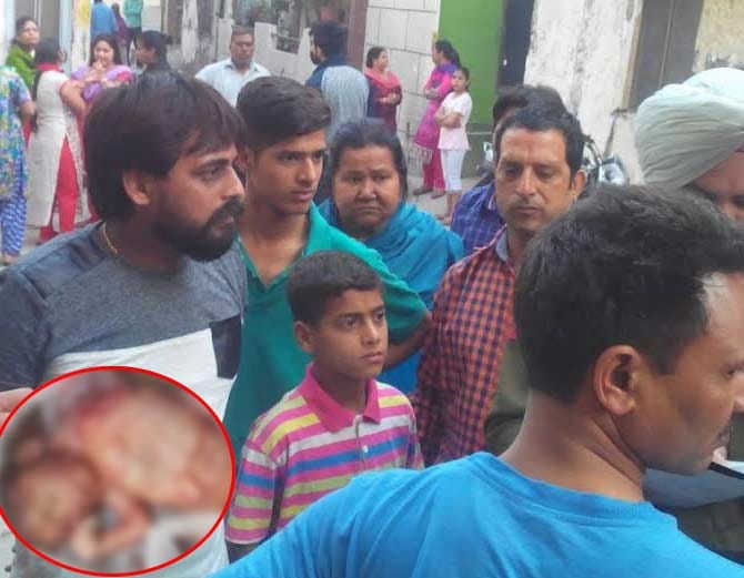 embryo found in street in a polybag at ambala of haryana