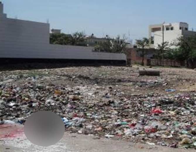 embryo found in street in a polybag at ambala of haryana