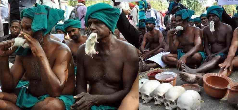 Farmers from Tamil Nadu, protesting at Jantar Mantar for drought relief fund holding snakes in mouth