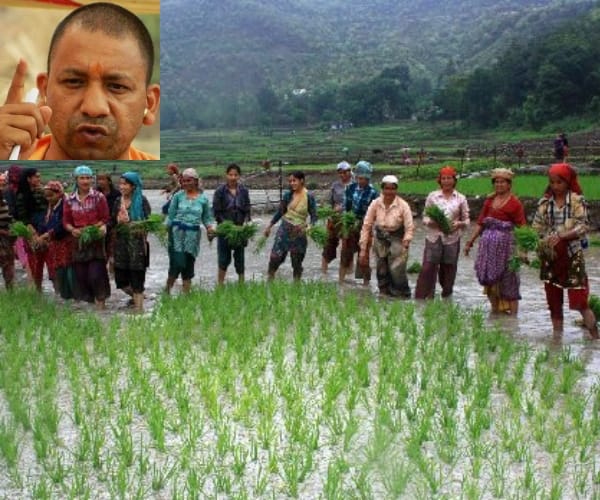  UP govt plan to forgive debt of farmers.